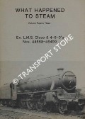 Book cover of What Happened to Steam by HANDS, Peter